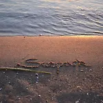 Im Seepark