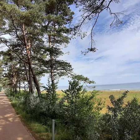 Cosy For Family In Apartment