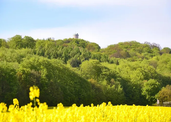 Cosy For Family In Appartement *